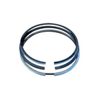 Piston Ring Set Fits Case Ih Versum CVXDrive/Optum 300 CVXDrive 87316211