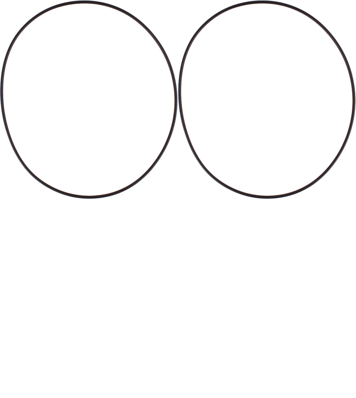O-Ring Pack of 2 190493A1 fits Case 580M 580L Series 2 580L 570MXT 588G 570LXT
