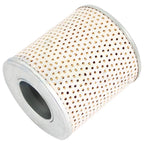CFPN6731B P47 Fits Ford Oil Filter 2110,2120,3120,3400,3500, DGPN6731A