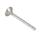 Intake Valve fits Belarus 562 820 570 572 805 560 802 822 825 800 240-1007014-B4
